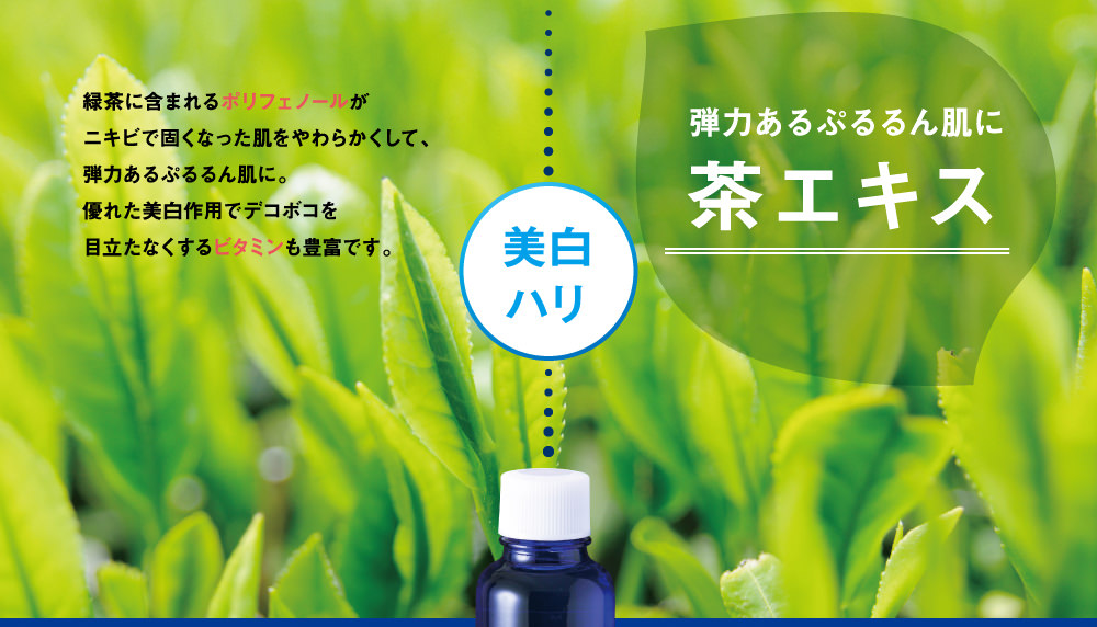 茶エキス