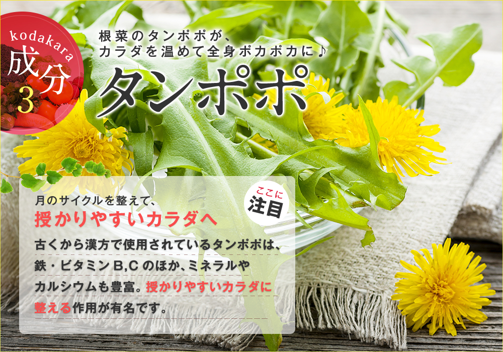 成分3 タンポポ