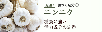 ニンニク