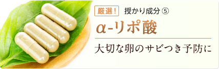 α-リポ酸