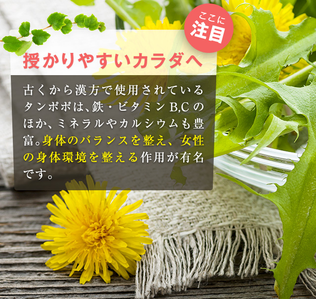 月のリズムを整えて、授かりやすいカラダへ