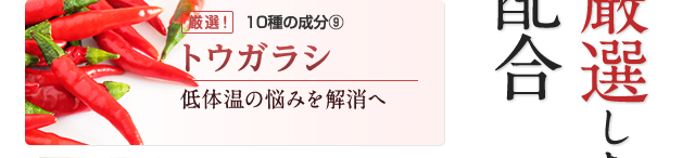 トウガラシ