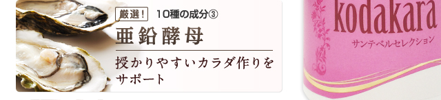 亜鉛酵母