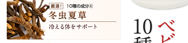 冬虫夏草