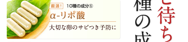 α-リポ酸