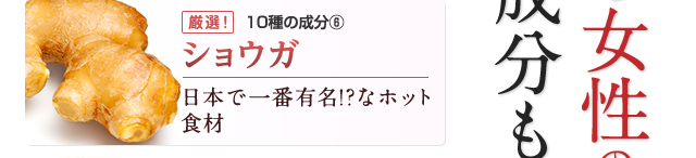 ショウガ