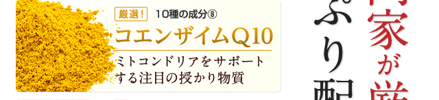 コエンザイムQ10