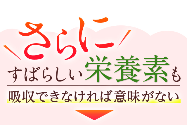 さらに！すばらしい栄養素も吸収できなければ意味がない