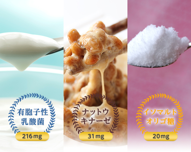 有胞子性乳酸菌 ナットキナーゼ イソマルトオリゴ糖