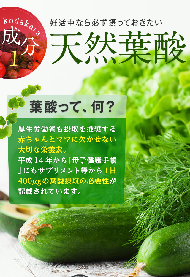 成分1 天然葉酸