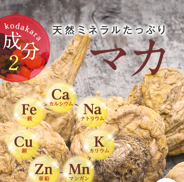 成分2 マカ