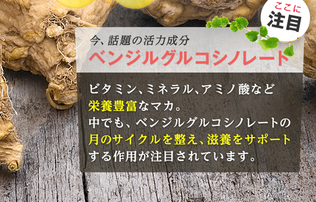 今、話題の活力成分 ベンジルグルコシノレート