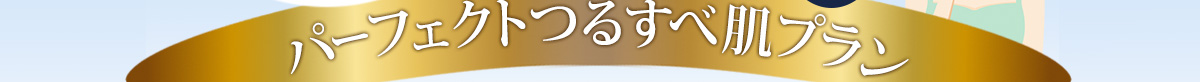 パーフェクトつるすべ肌プラン