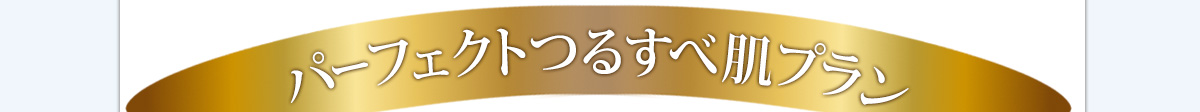 パーフェクトつるすべ肌プラン