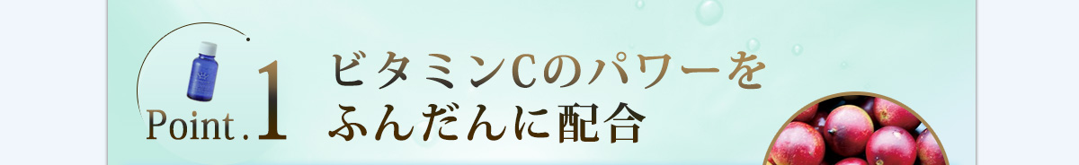  ビタミンCのパワーをふんだんに配合